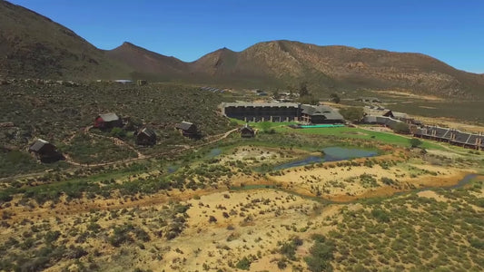 Aquila Full-Day Safari