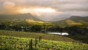 Cape Winelands Full-day Scheduled Tour