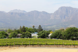 Cape Winelands Full-day Scheduled Tour